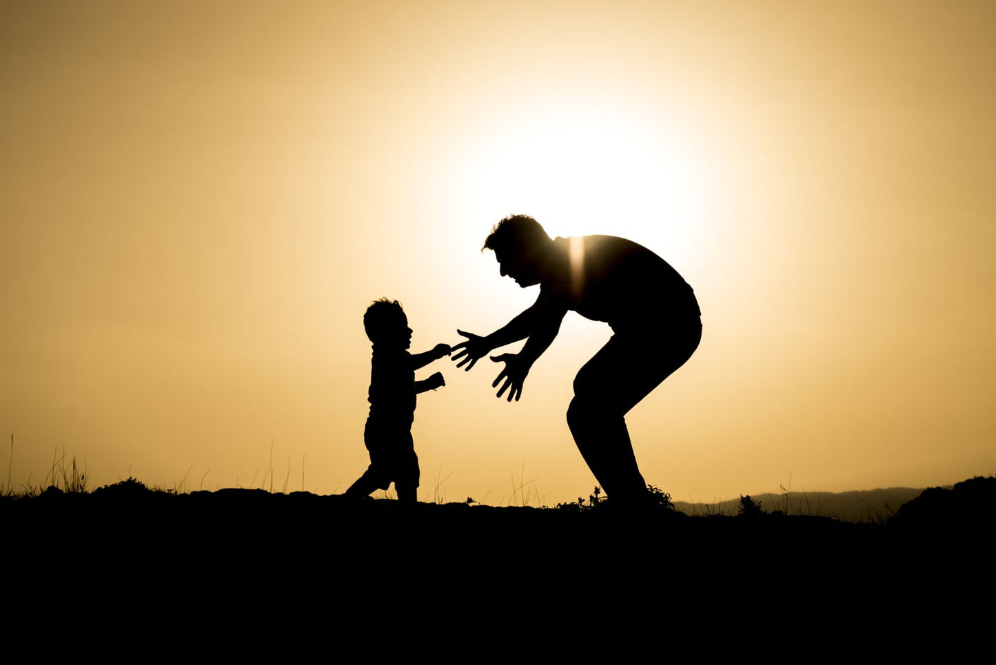 Fathers Rights- Guidebook To Child Custody