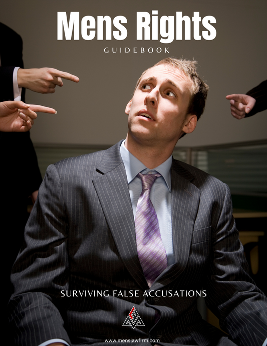 The Mens Guide To False Accusation's